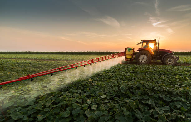 Sensibilisons les jeunes dans les filières agricoles